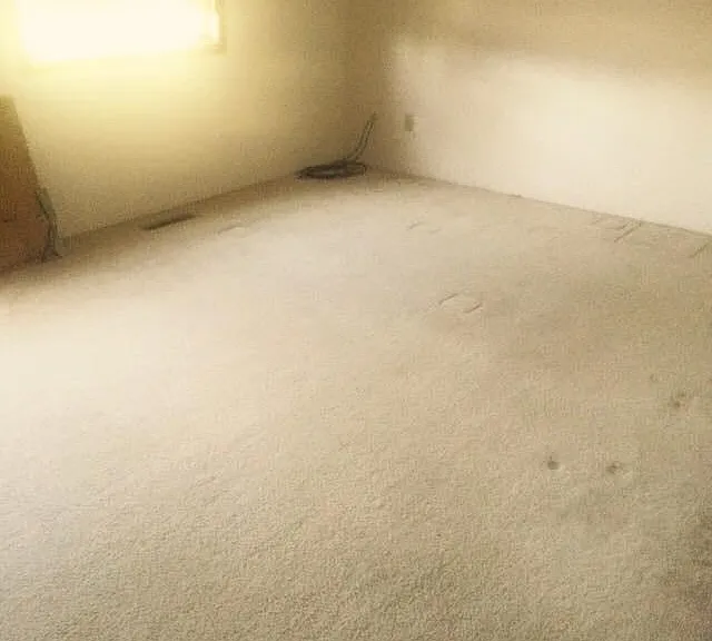 1800 Old West Main St #202 — Photo 7