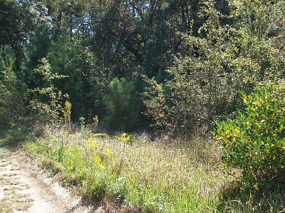 5th image of 17250 Highway 43