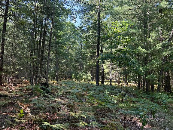 4th image of 9372 W Seven Mile Rd