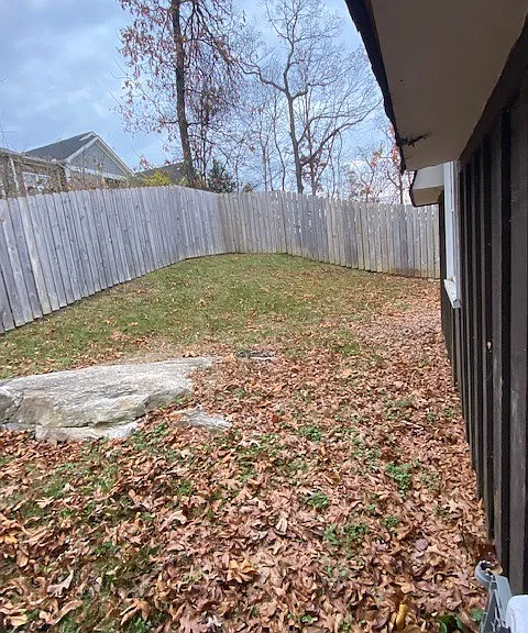 Back yard
