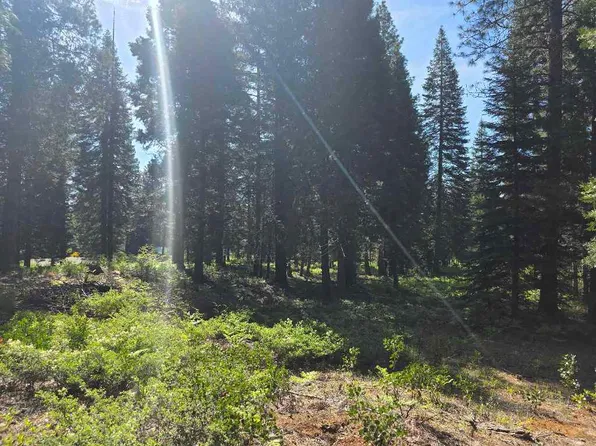 LOT 58 Old Mill Rd, McCloud, CA 96057