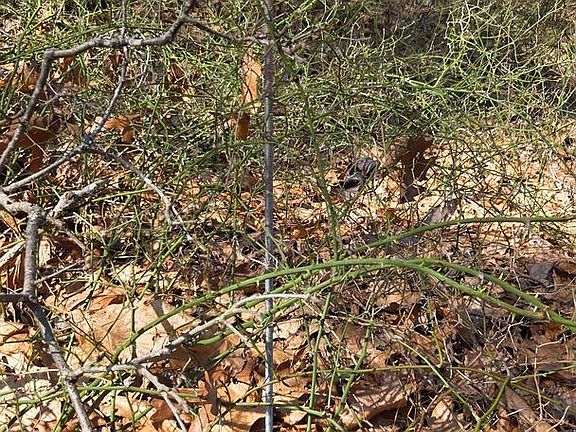 5th image of 0 E Malaga Rd