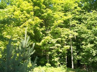 Faylor Rd, Copemish, MI 49625