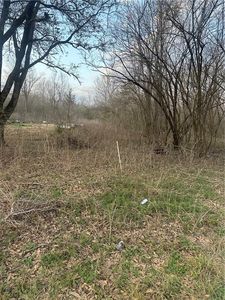 0 River Ln Lot 7 & 8, Marksville, LA, 71351