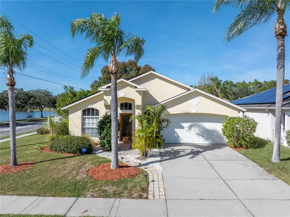 9509 Charleston Lake Dr, Tampa, FL 33635