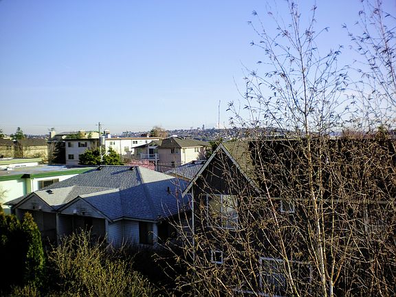 View from South loft.