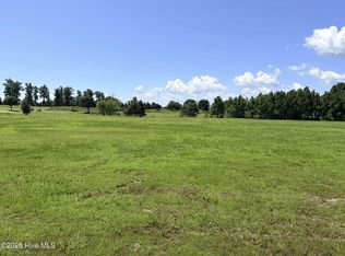 132 E Royal Way LOT 62, Merry Hill, NC 27957