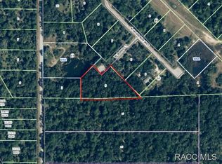 12000 W Jassid Ct, Crystal River, FL 34428