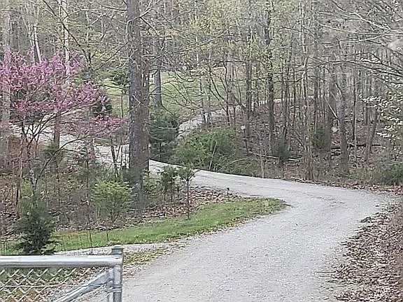 LOOKING UP THE DRIVE 