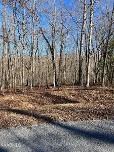 127 Hunterwood Ln, Crossville, TN, 38558