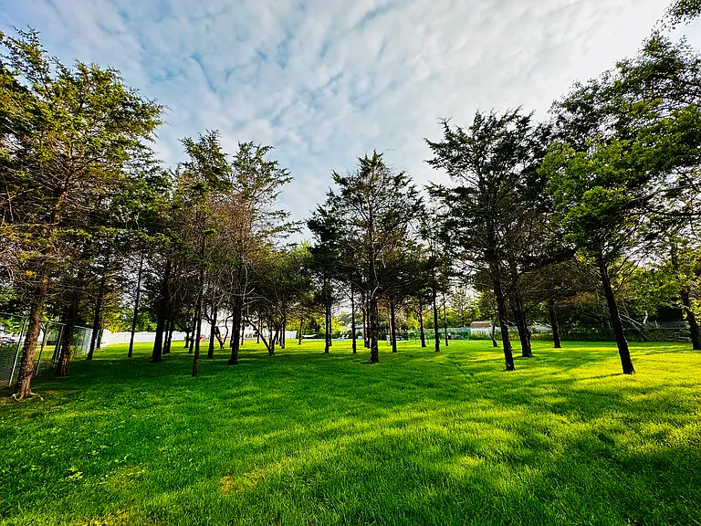 Old Field Ct — Photo 36
