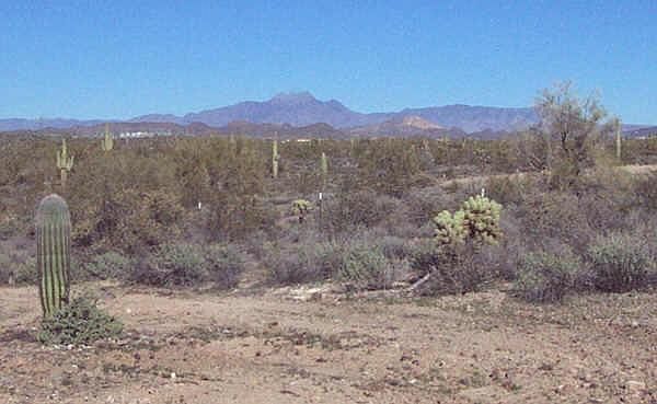 2nd image of 2500 LOST DUTCHMAN Road #C7