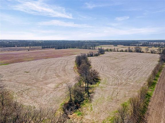 4th image of Iguana Rd