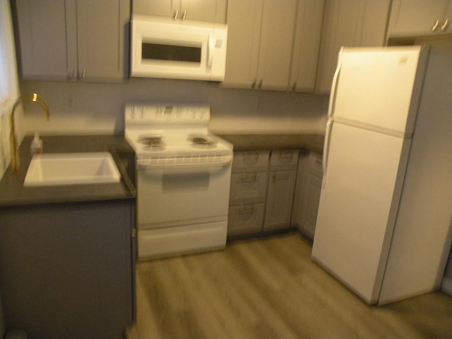 2 bed, 800 sqft, $1,550 — Photo 3