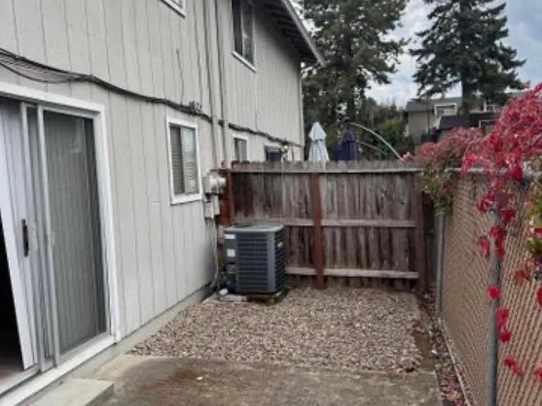 Back Patio