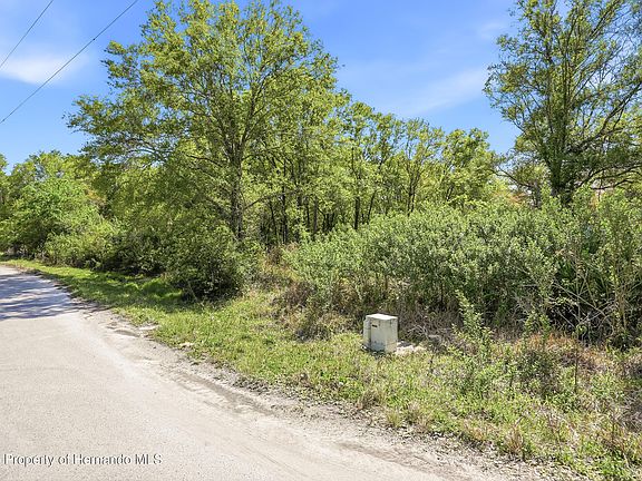 5th image of 100 Fern St