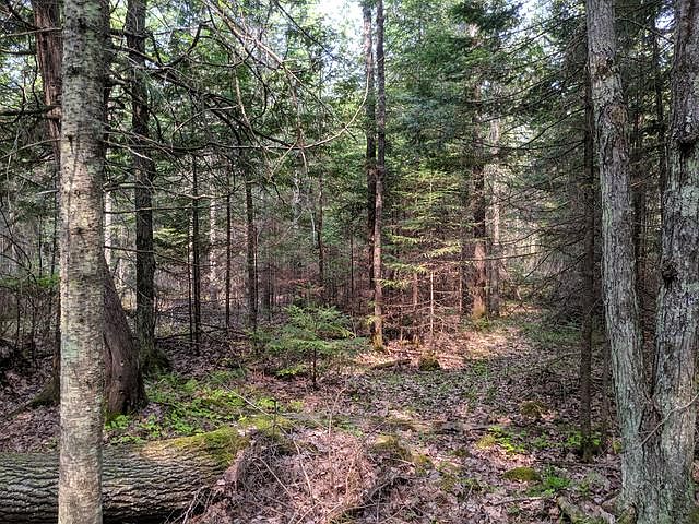 1st image of Pixley Shores Rd W Lot 3