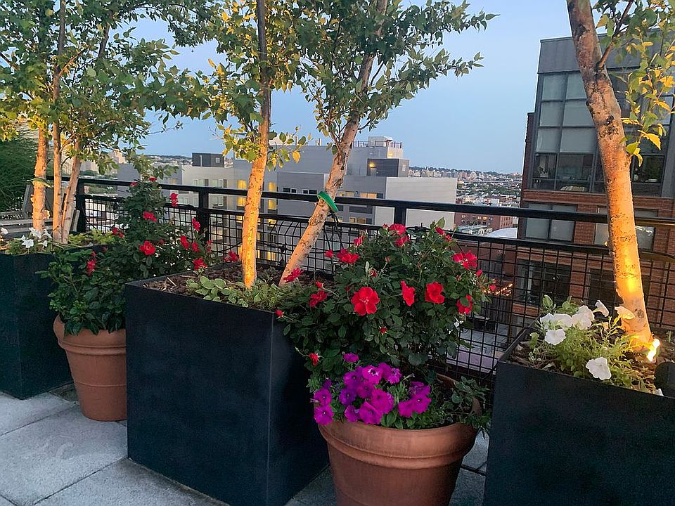 2nd image of 199 State St #Penthouse A