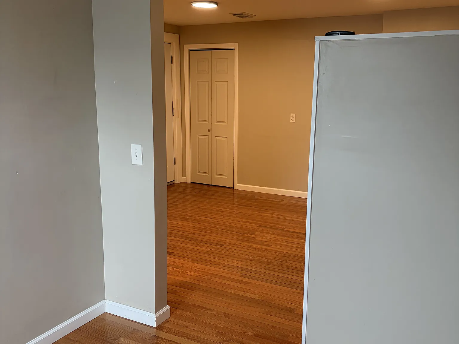 1 bed, 800 sqft, $1,500 — Photo 4