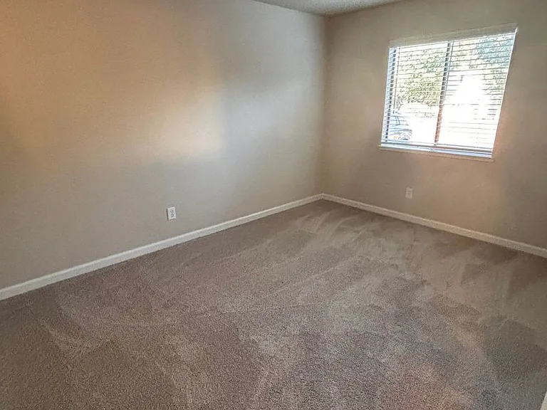 Olive Glen — Photo 24