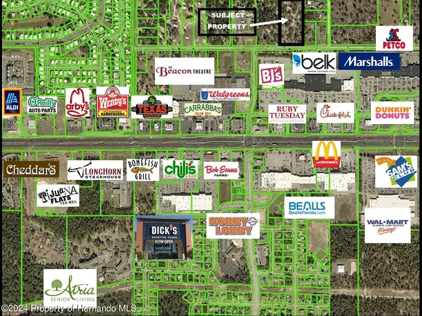 13131 Jacqueline Rd, Brooksville, FL 34613