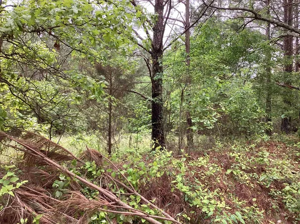 0 Buster Baker Rd, Hodges, AL 35571