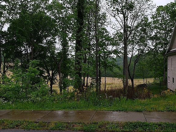 5th image of 125 Walking Stick Trail Ct