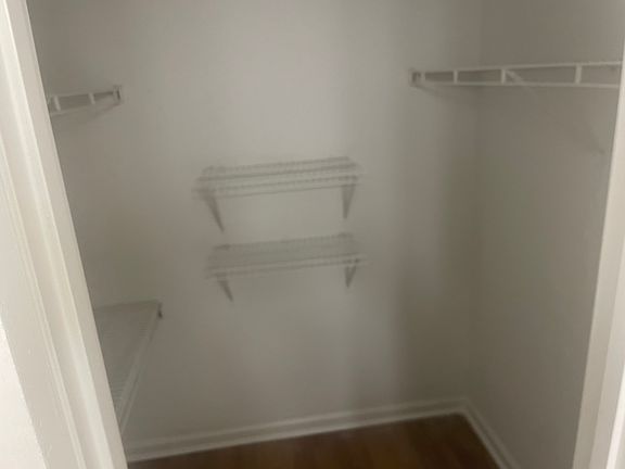 3rd image of 62 Hollis Wood Dr