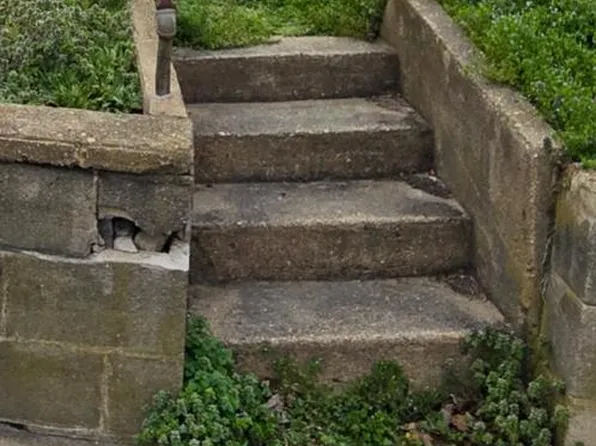 317 N Liberty St, Centreville, MD 21617