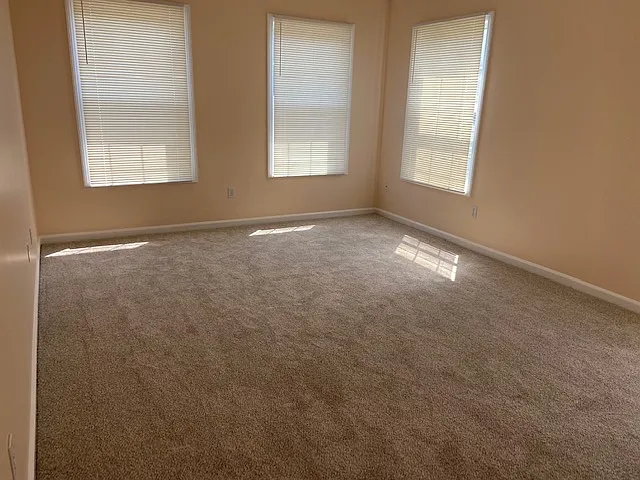 156 Palomino Pass — Photo 12