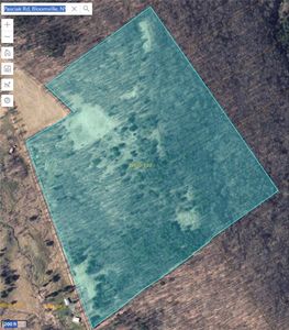 Pasciak Rd Lot 1, Bloomville, NY, 13739