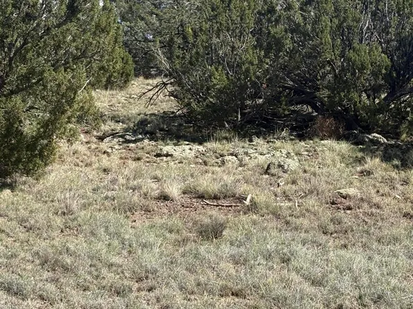10 NE North #8715, Concho, AZ 85924