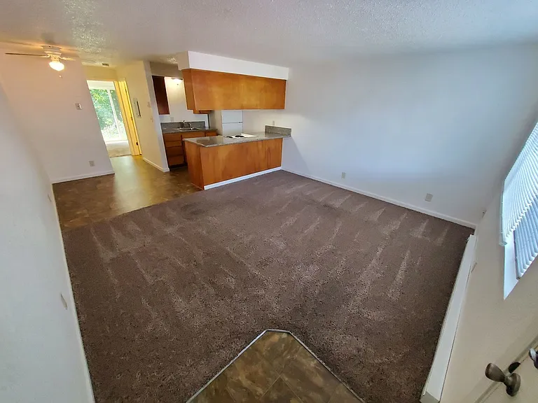 1015 5th Ave SW #14 — Photo 3