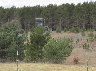 7815 N 47th Rd, Manton, MI 49663