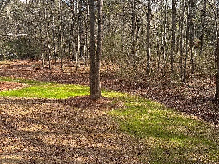 1142 Lavista Dr — Photo 2