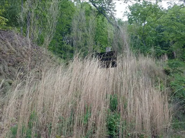 L-110 Brasstown Rd, Brasstown, NC 28902