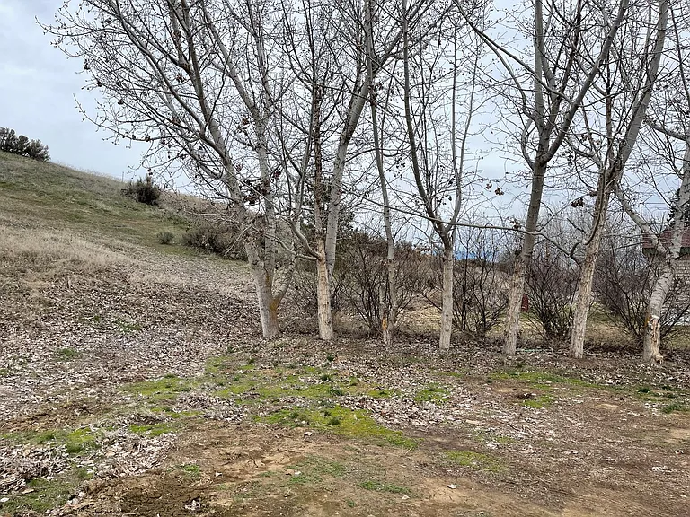 1481 Tozer Rd — Photo 3