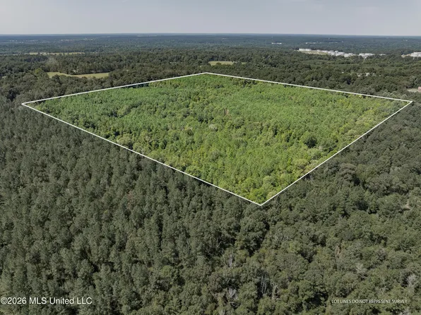 40 Acres Hwy #588, Collins, MS 39428