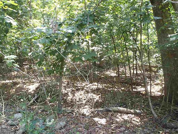 5th image of 319 Chickasaw Dr