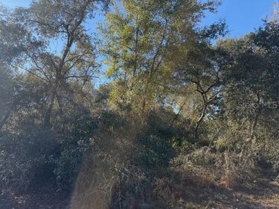 SW 158th Street Rd Lot 14, Ocala, FL, 34473