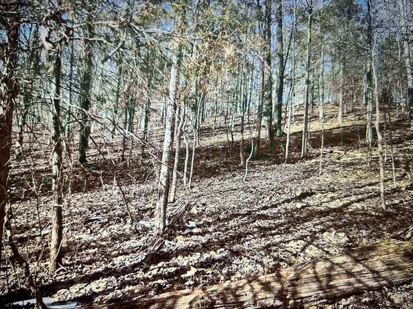 34 Canton Heights 2 Cir, Cadiz, KY 42211