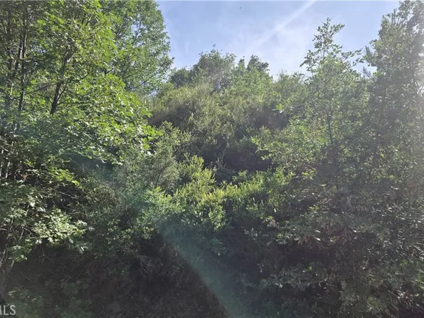 0 Elder Dr #231, Cedar Glen, CA 92321