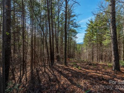 1683 Pisgah Preserve Dr, Nebo, NC, 28761