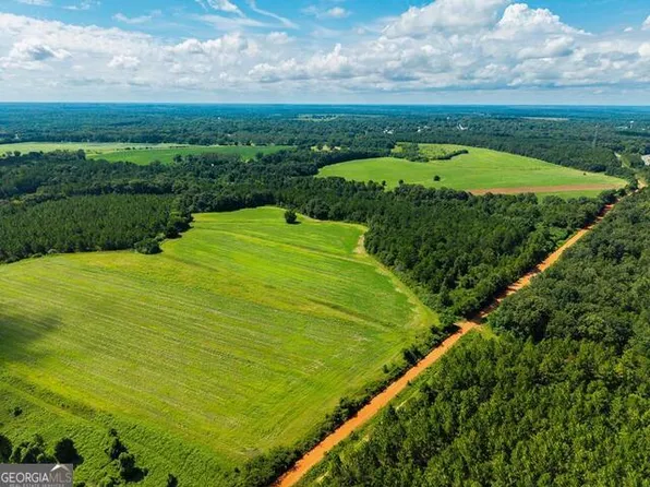 266 / Loven Mill Rd, Richland, GA 31825