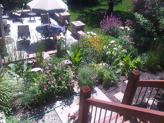 Walkout Patio Landscape