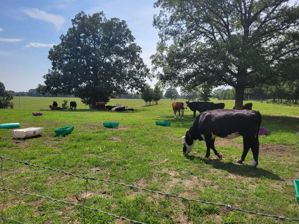 252 County Road 212, Thayer, MO 65791