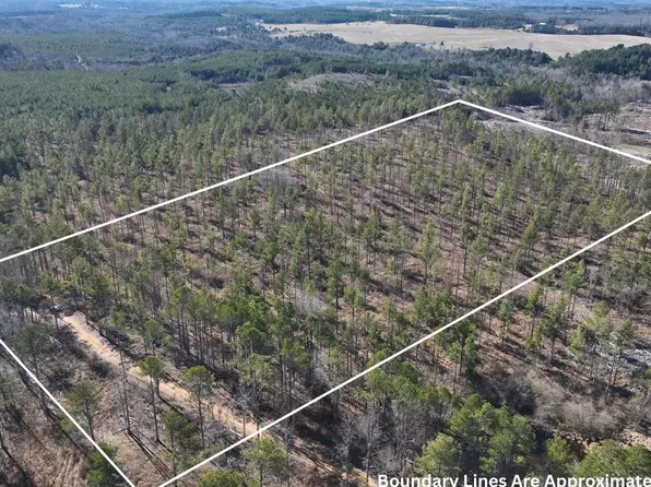 0 Stanford Rd, Haleyville, AL 35565