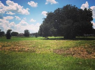 13941 Darby Park Ln, Dade City, FL 33525