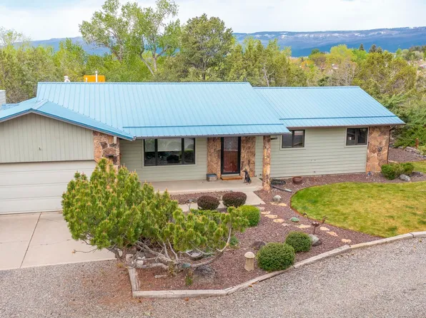 560 NE 4th St, Cedaredge, CO 81413