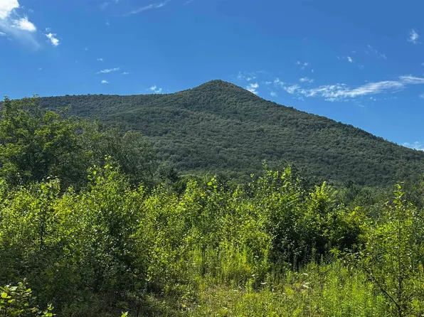 272 Twenty Acre Wood #2, Arlington, VT 05250